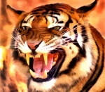 Picture of a Very Angry Growling Tiger Portrait Painting